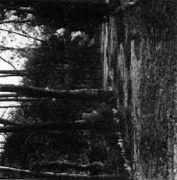 Let Us Emerge from the Depths